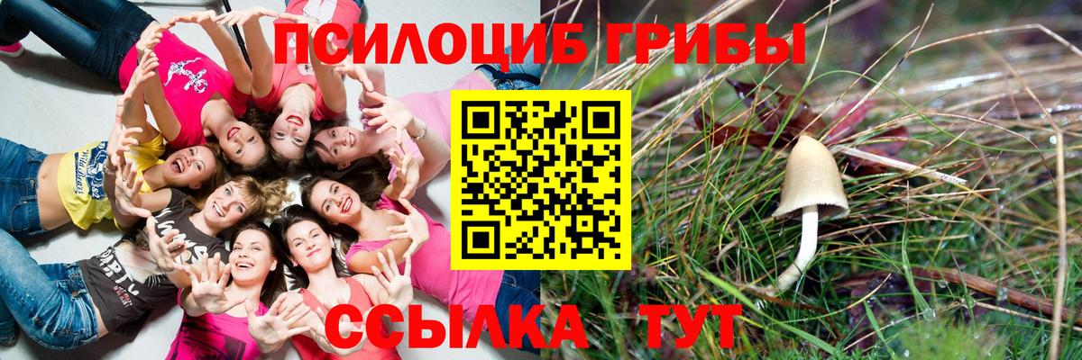 Псилоцибиновые грибы мухоморы  Вход с VPN  Краснокаменск  Псилоцибиновые грибы Psilocybine cubensis 